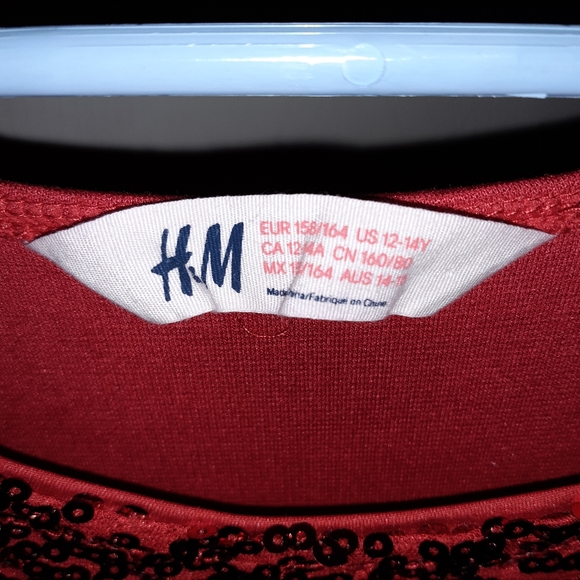 Red H&M Dress - Picture 3 of 3